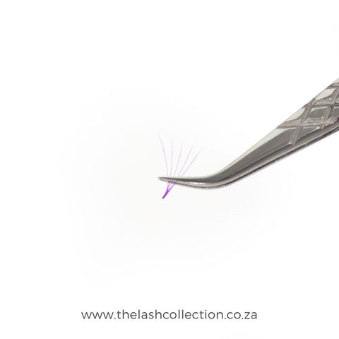 5D Colour Pro-Made Fans