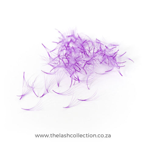 5D Colour Pro-Made Fans