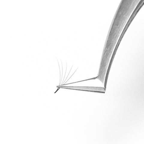 5D Pro-Made Fans QTY 500