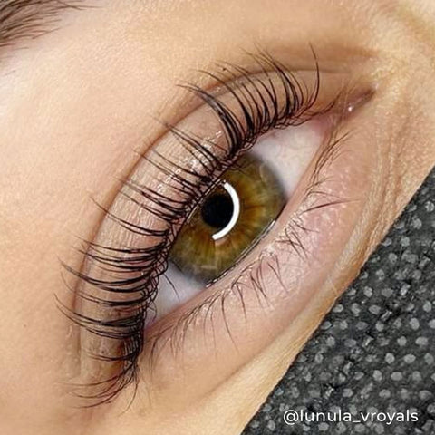 Lash Lift Kit