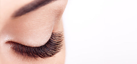 Understanding Blepharitis