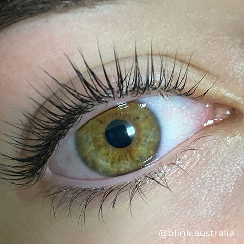 Lash Lift Sample Sachets