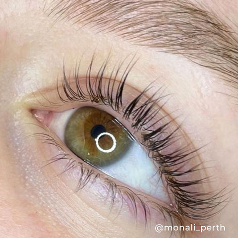 Lash Lift Sample Sachets